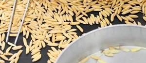 Anvendelse af nitrogengenerator i CA kornlagringsteknologi