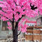 Pink arch cherry blossom tree