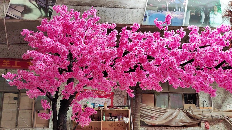 Pink arch cherry blossom tree