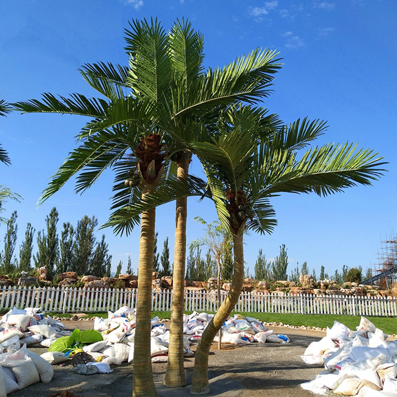 fiberglass Artificial coconut palm tree for outdoor indoor decoration 