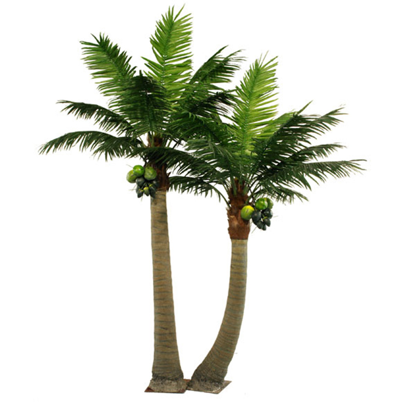  fiberglass Artificial coconut palm tree for outdoor indoor decoration  