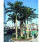 Outdoor Large palm tree artificial