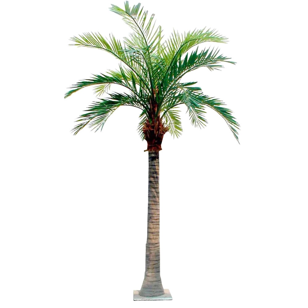 Вялікая штучная какосавая пальма на вуліцы 