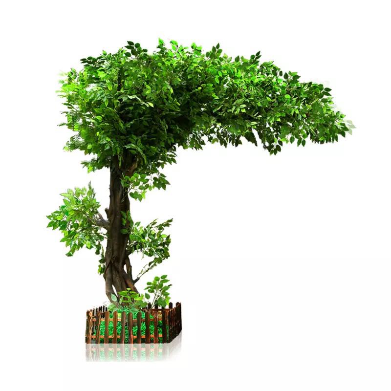  Ficus lyrata artifiziala Barruan eta Kanpoaldean 