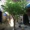 Big Artificial Banyan Tree Outdoor