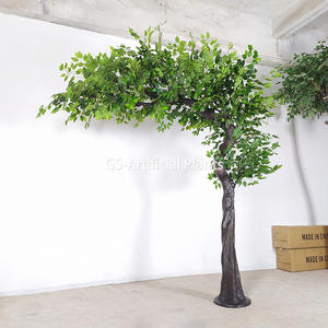 Indoor and outdoor wedding ficus tree
