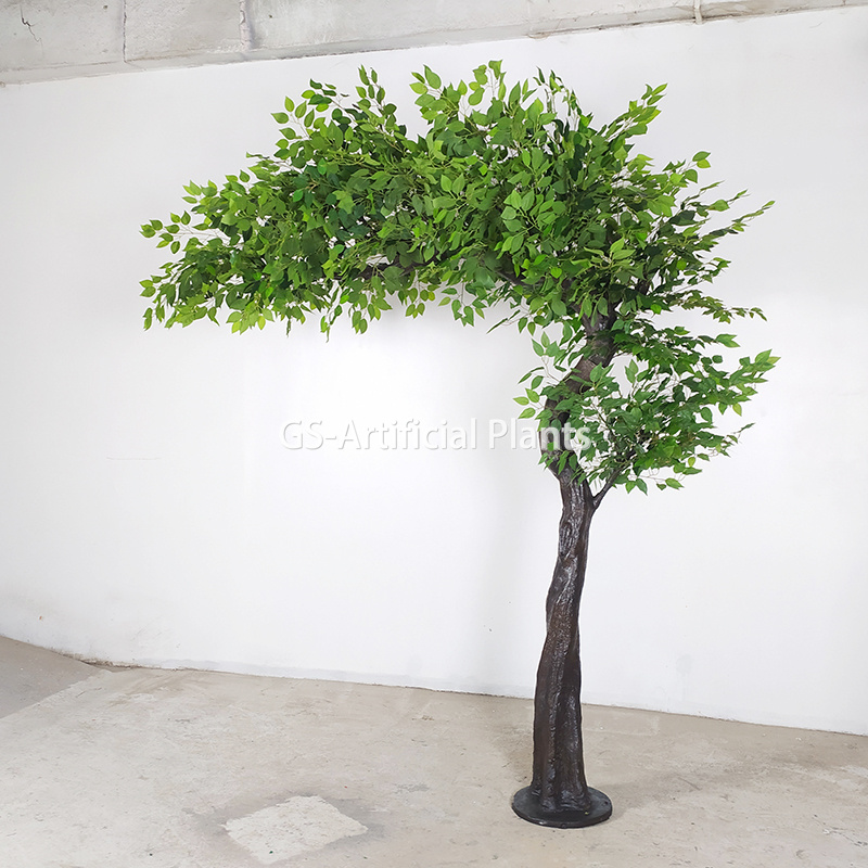  Hochzeits-Ficusbaum für den Innen- und Außenbereich 