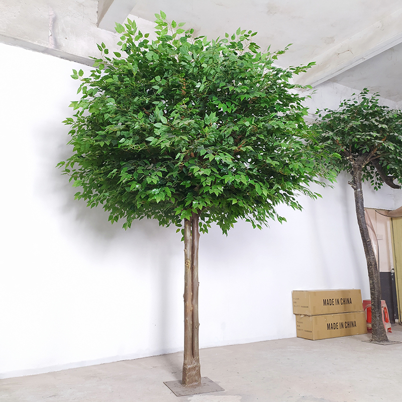 Artificial ficus tree Event and Party