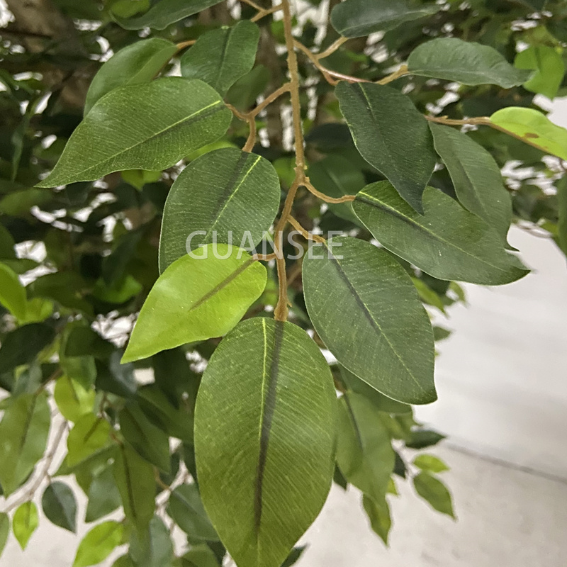  Ficus artificial grande de alta qualidade 