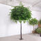 3m green plastic wooeden ficus tree