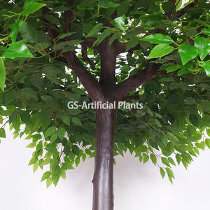 3m green plastic wooden ficus tree