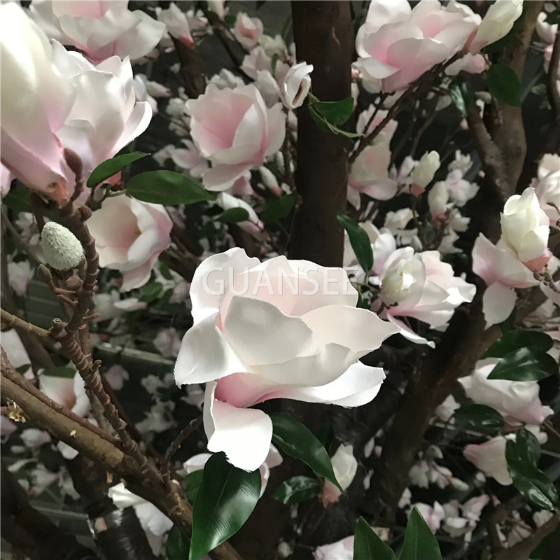  Mea hoʻonaninani kumu lāʻau pua Magnolia 