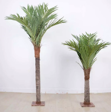  Sztuczna palma kokosowa na zewnątrz 