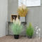 2-6 ft Artificial Reed Plant Type Grass Bonsai Tree for Modern Design Style and Home Decoration