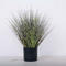 Factory direct fake flower with pot lifelike artificial reed plant/plastic onion grass