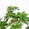High 70cm Artificial Potted Plants Home Decoration