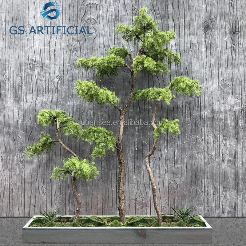  Bonsai Wit Pinus Tiruan kanggo Dekorasi Ing njero ruangan lan ruangan 