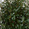 Artificial potted plant olive tree