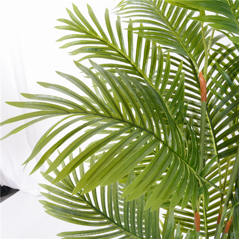  Ny lancering af areca palme bonsai træ til boligindretning 