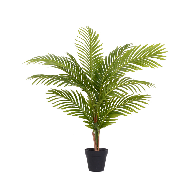  Nouvo lansman areka palmis bonsai pye bwa pou dekorasyon kay 