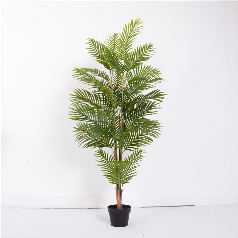 New launch areca palm bonsai tree for home decoration
