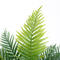 Artificial areca palm tree chrysalidocarpus