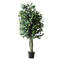 Sale 3 4 ft Artificial Money Leaves Plant Make Artificial Bonsai Trees for Decorative