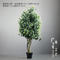 Sale 3 4 ft Artificial Money Leaves Plant Make Artificial Bonsai Trees for Decorative