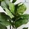 Artificial Plants Fiddle Leaf Fig Tree Potted