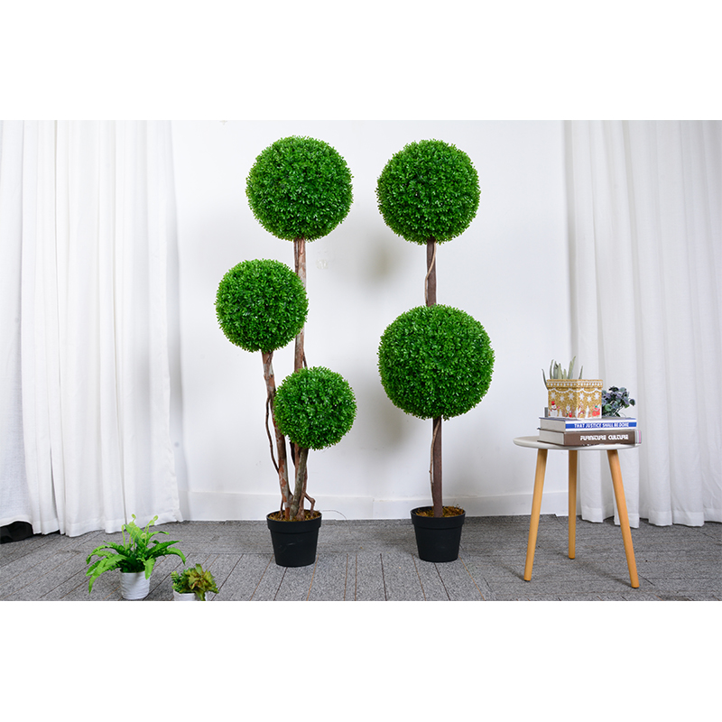  ຕົ້ນໄມ້ທຽມ Topiary ກາງແຈ້ງ Bonsai 