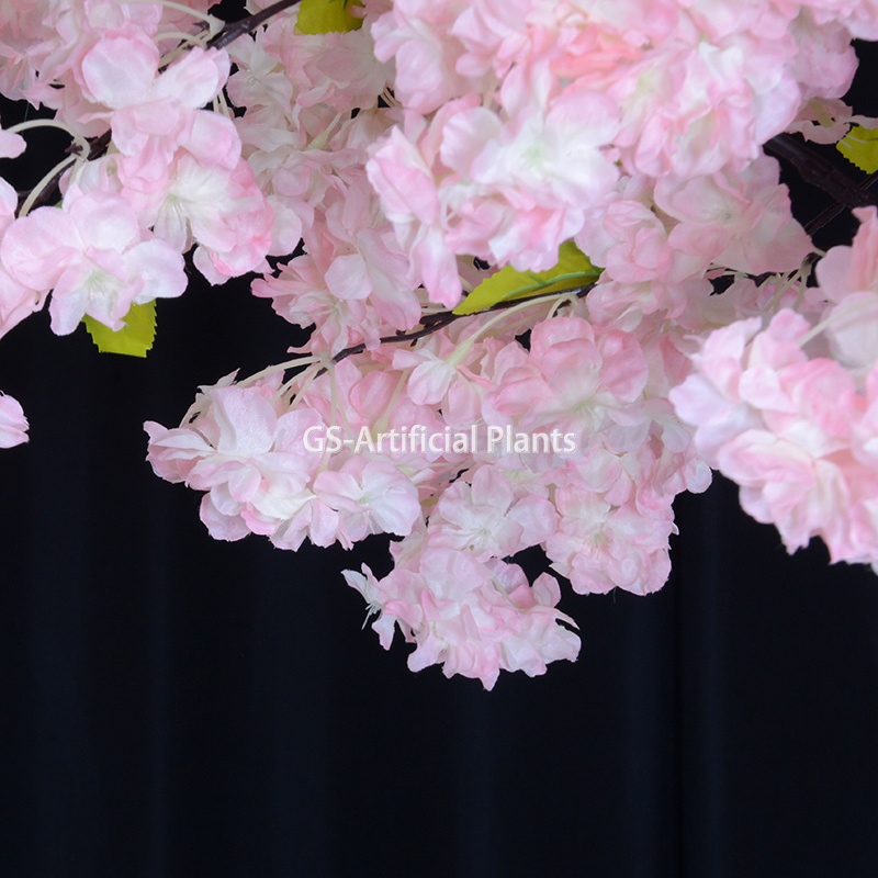  4ft ʻulaʻula ʻulaʻula cherry blossom kumulāʻau lāʻau hoʻolaʻa papaʻaina male waena 