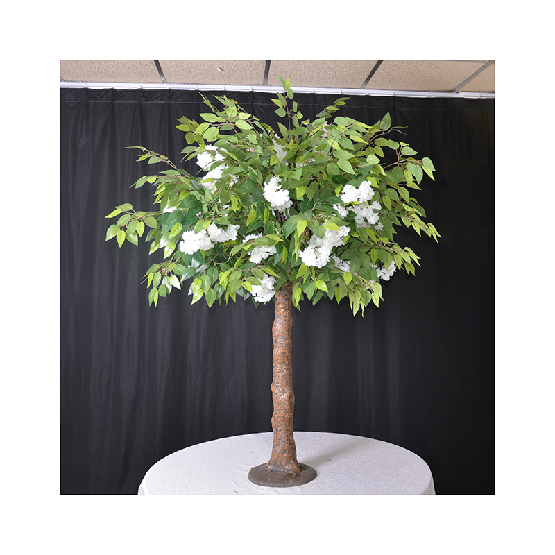  Ficus di foglie verdi artificiali con fiori di ciliegio 