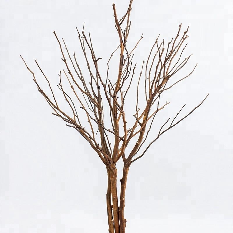 装飾用のサンゴの枝の乾燥した木