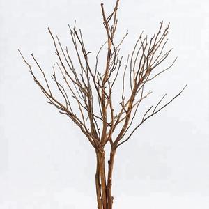 Coral Branches Dry Tree for Decoration