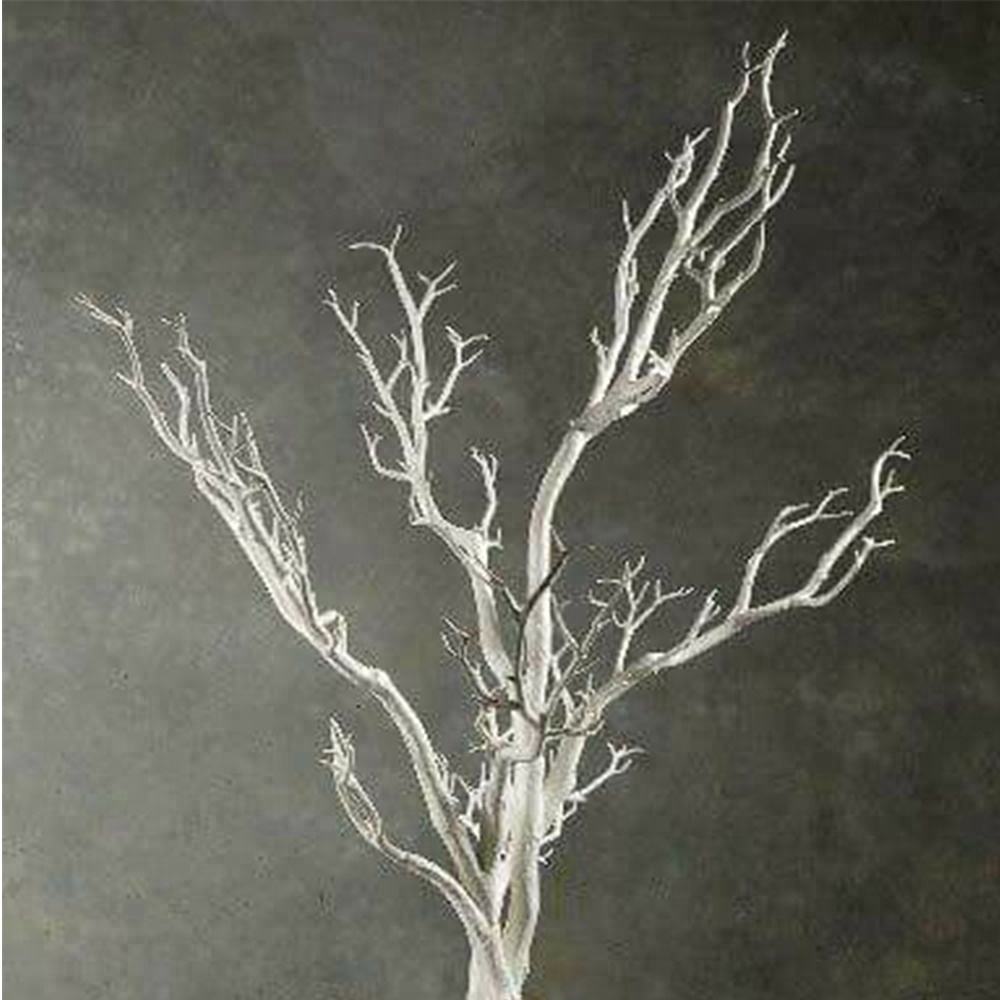 Coral branches dry tree For decoration
