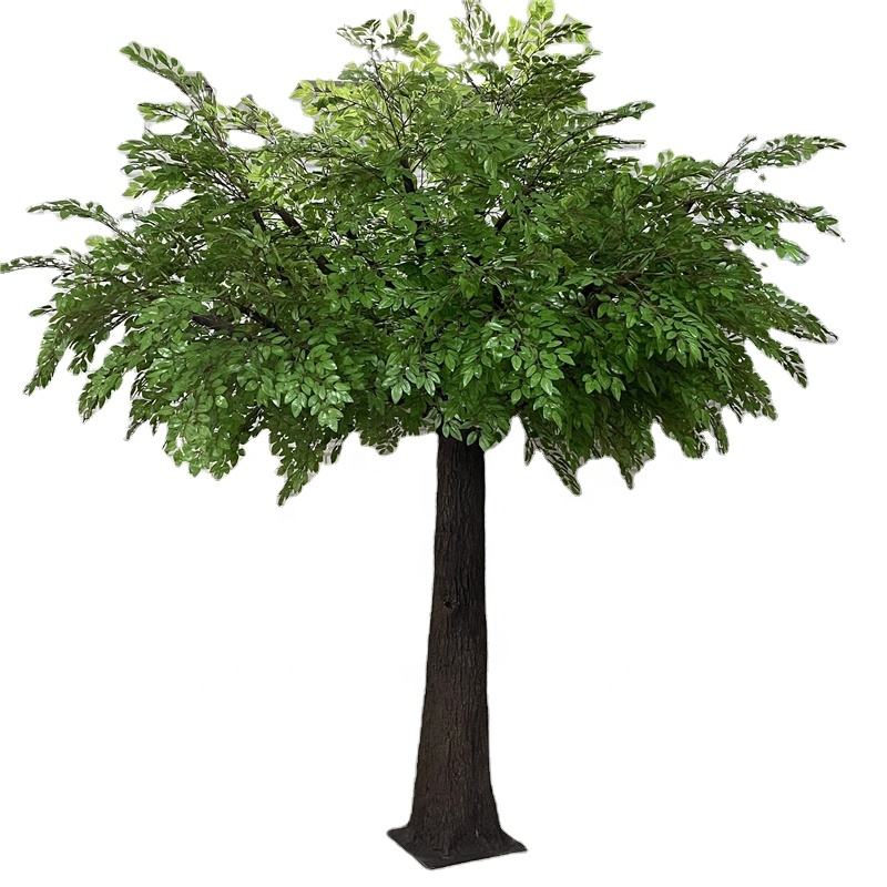  Hot Sale Maiketsetso elm tree Decorative 