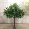 Home decor artificial mini apple tree leaf