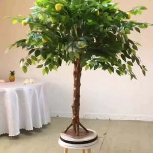 Mesterséges gyümölcs növény citromfa bonsai
