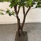 Artificial green leaves tree indoor decoration