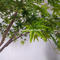 Japanese artificial maple tree indoor decor