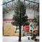 6m Large Outdoor Artificial Umbrella Pine tree 