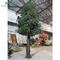 6m Large Outdoor Artificial Umbrella Pine tree 