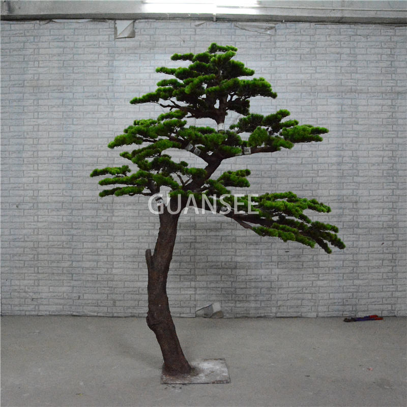 Dekorasi Pohon Pinus Lanskap Ponggawa