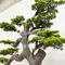 Artificial pine tree branches home decor