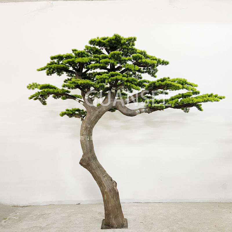 Pohon pinus Ponggawa kanggo njero ruangan ruangan