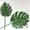 Artificial Monstera Leaves Faux Turtle Leaf Tropical Large for Home Decorations