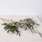 Branches Plastic Olive Leaves Stem Artificial Olive Branch with Fruits for Home Decoration
