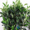  Artificial Olive Branches Fake Real Touch Olive Tree Artificial Indoor Decoration