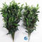  Artificial Olive Branches Fake Real Touch Olive Tree Artificial Indoor Decoration