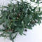 Olive Leaf Branches Plant High Quality Olive Branches Artificial Olive Tree Stems for Home Decor 
